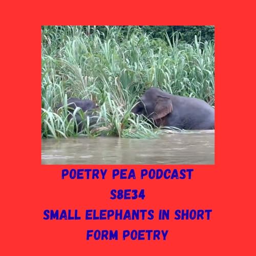 『S8E34 Small Elephants in Short Form Poetry』のカバーアート