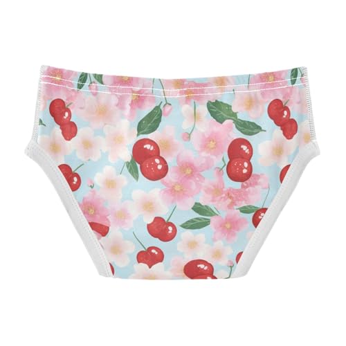Wusikd Cherry Blossom Boys' Underwear Cotton Cherries Boys Briefs Soft Toddler Underwear 2T2