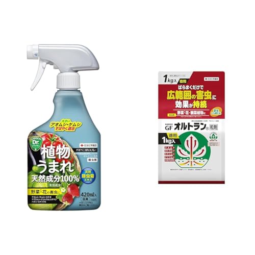 【セット買い】住友化学園芸 殺虫剤 パイベニカVスプレー 420ml+家庭園芸用GFオルトラン粒剤 1kg