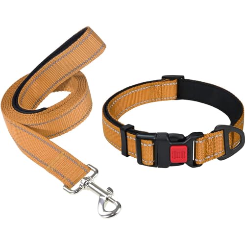Taglory 18"-28" Dog Collar and 5 FT Dog Leash Set, Highly Reflective Threads Dog Leash, Adjustable Reflective Dog Collar with Safety Locking Buckle for Extra Large Dogs