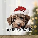 WoGuangis Décorations d'eau espagnoles pour sapin de Noël - Chien d'eau espagnol avec chapeau de Père Noël - Nom personnalisé - Remplissage de chaussette de Noël - Décoration en acrylique - Cadeau