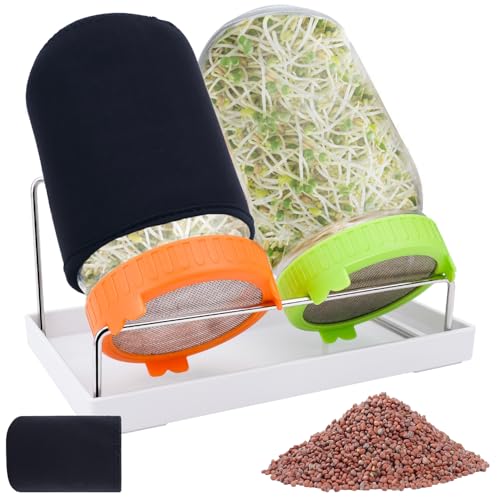 Kit de germination de graines de radis avec 2 bocaux Mason - 2