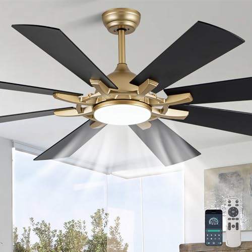 Bella Depot 60 Black & Gold Ceiling Fan with Light
