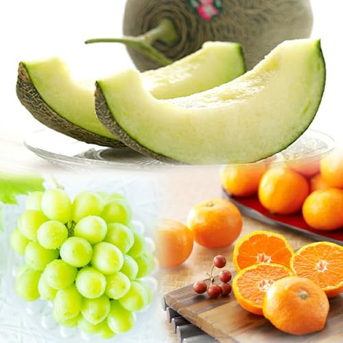 nڗv ̋lߍ킹 Y t[clߍ킹 ʕlߍ킹 Y 3Zbg |F{Y A[X(1)/쥎RY VC}XJbg Ԃǂ(1[ 500~600g)/a̎RY ݂(1.5kg)| 炩Ȍ