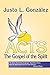 Acts: The Gospel of the Spirit