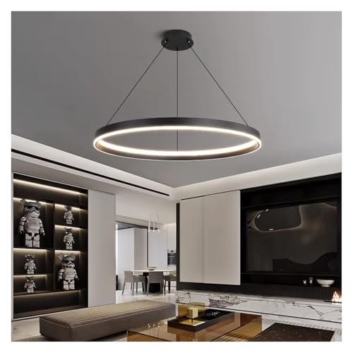 Pendentif lumières LED haute efficacité pour l'éclairage intérieur de salon LWX