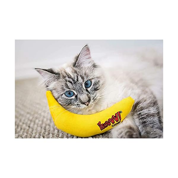 Yeowww. duckyworld 100% Organic Catnip Leaf & Flower Cat Toy Banana 3 Pack – Bild 4