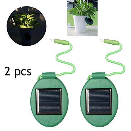 2 PZ LED Solare Vaso di fiori Luce esterna