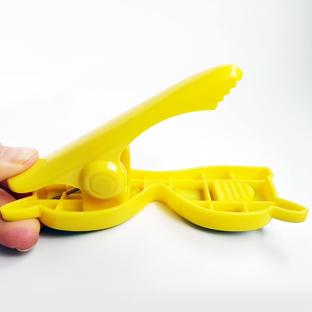 Jdeijfev Lot de 10 pinces à de plage en plastique pour chaises de couleur vive