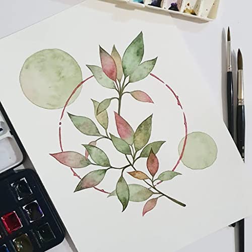 Canson Montval 300Gsm Watercolour Practice Paper Pad Including 100 Sheets, Size:24X32Cm, Natural White And Cold Pressed (Not) #TOP2