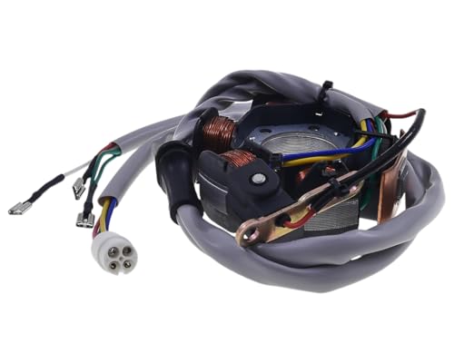 2EXTREME Lichtmaschine Stator kompatibel für Piaggio Sfera NSL 50, Zip SSL 25-99, TPH Typhoon 50, Sfera RST 50, NRG 50 mc2 LC, Zip Fast Rider 50, NRG 50
