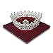 Resonant Energies 6.5 Inch Square Red Velvet Tiara & Crown Display Pillow Stand, 'Bean Bag' Support, TPV4M