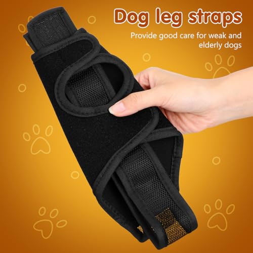 HYTROVE Hundebeinstütze Aus Neopren Elastischer Beinschutz Für Vorder- Und Hinterbeine Atmungsaktiv Gelenkschutz Und Knochenschutz Für Hunde Nach Operation 13.39X11.42X0.79In Schwarz XL