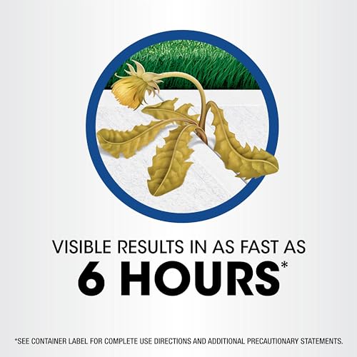 Roundup-Weed-Grass-Killer-with-Comfort-Wand-Use-in-and-Around-Flower-Beds-Trees-and-Driveways-1-gal