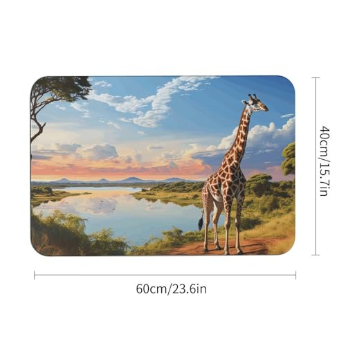 Tapis de bain terre de diatomées antidérapant rivière du Nil - 4