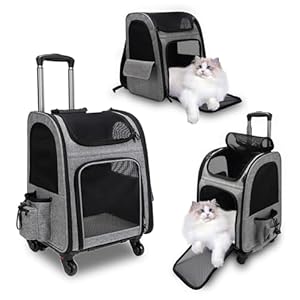 Rucksack für Katzen und Katzen, mit Rädern, für Hunde und Katzen bis zu 15 kg, ideal für Spaziergänge, Reisen und Besuche beim Tierarzt