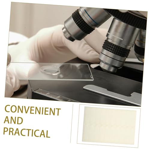 Plateau de rangement pour lames de microscope et support de séchage - 5