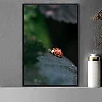 Framed Canvas Wall Art Ladybug Expressive Farmhouse/Country Home Office Insects Lake Multicolor Photography - 16x24 inches