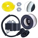 Zoom IMG-1 durashmall bobina di accensione modulo