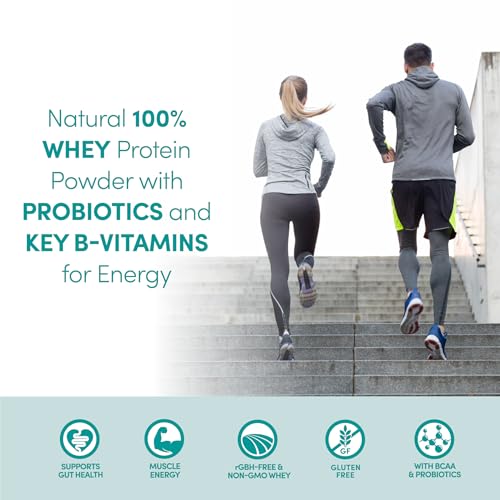Image of Designer Wellness, Designer Whey, Natural Whey Protein Powder with Probiotics, Fiber, and Key B-Vitamins for Energy, Gluten-Free, French Vanilla, 12oz