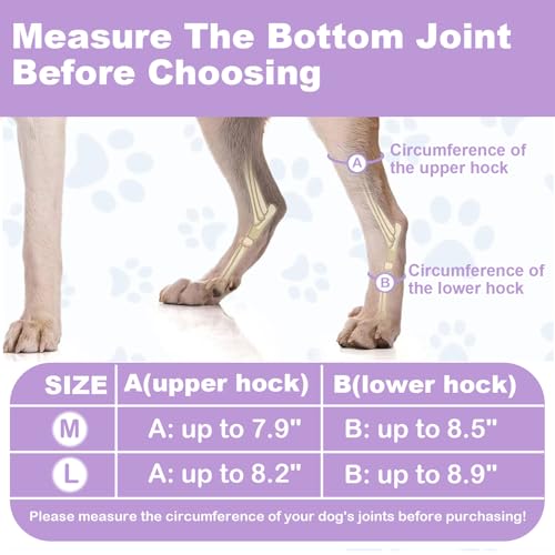 Image of Short Rear Leg Braces for Dogs, Dog Leg Brace for Joint Injury, Sprain Protection, Wound Healing and Loss of Stability from Arthritis, Dog Leg Sleeve with Flexible Straps for Post-Op, 1 Pair, Large
