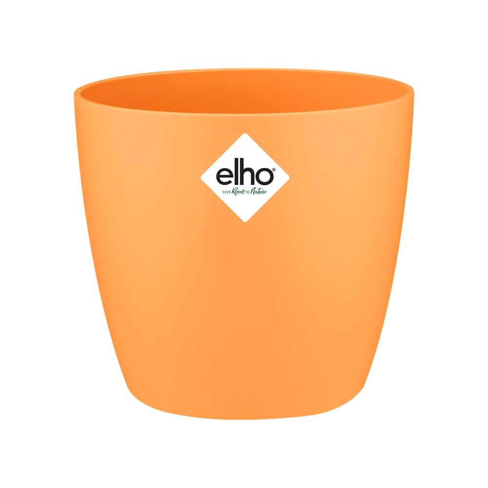 Elho Brussels Orchid 12.5 - Macetero por Interior - Ø 13.0 x H 11.5 cm - Negro/Anthracite — view 16