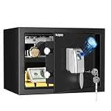 WASJOYE 25L Cassaforte per Impronte Digitali, Cassaforte Biometrica con Chiave, CassafortI Elettronica Automatica con Identificazione delle Dita, Cassetta di Sicurezza per Casa Hotel Ufficio