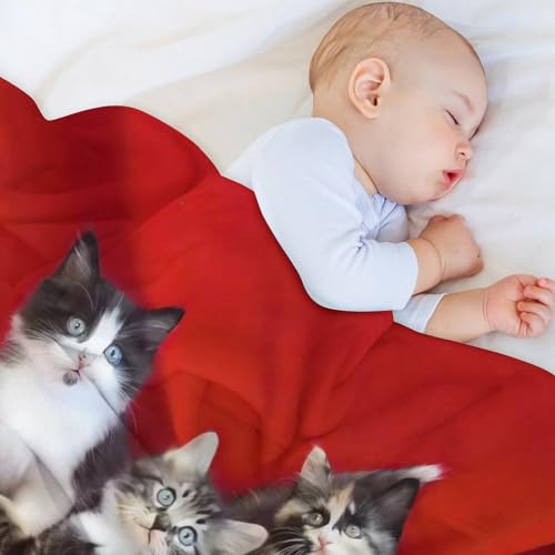 Grande couverture micro polaire chat chaude légère plaid lit canapé