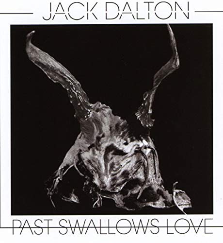 Past Swallows Love