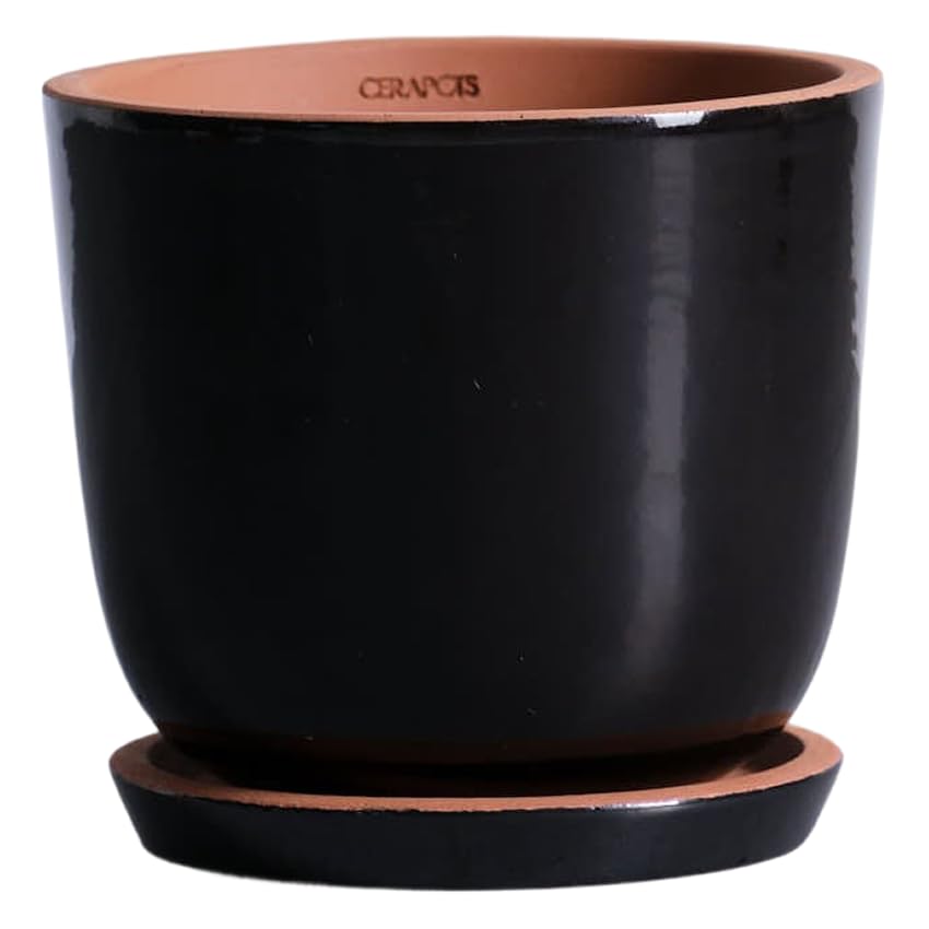 Amazon.co.jp: CERAPOTS Bolin 陶器鉢 5号 おしゃれ 軽い 植木鉢 鉢 鉢