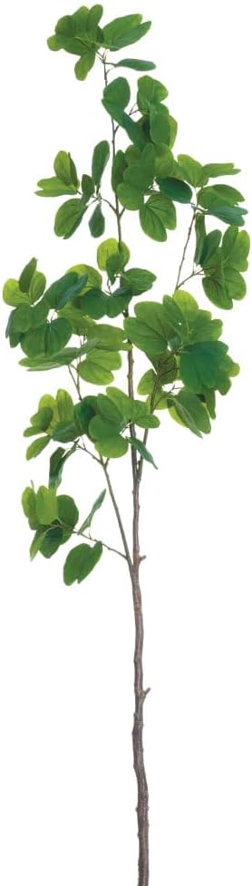 78" Silk Bauhinia Hong Kong Orchid Tree Branch Stem -Green (Pack of 4)