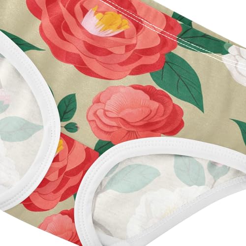 Designer Girls Underwear Toddler 2t Cotton Little Girl Panties Red White Pink Floral Light Brown Briefs Kids Undies4