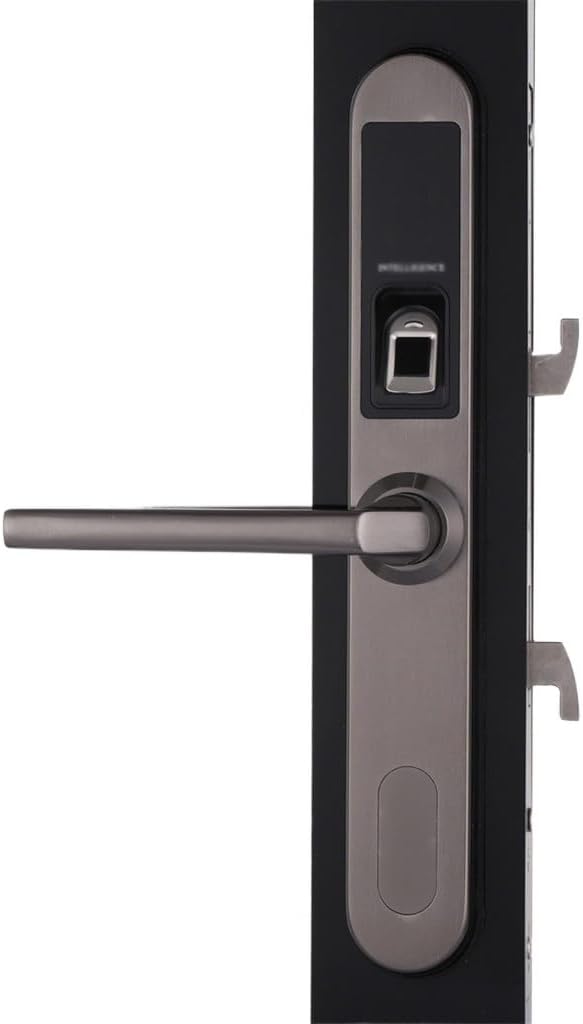 JSEIAJB Waterproof Electronic Sliding Door Lock, Keyless Biometric Fingerprint Sliding Hook Door Lock for Wooden or Aluminum Glass Door(D)