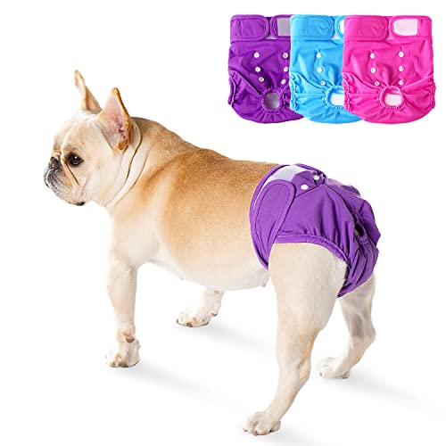 Find The Best Female Reusable Dog Diapers Reviews & Comparison Katynel