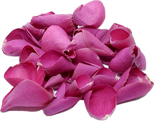 Pétales de rose fuchsia pour romantique chemin de table de mariage
