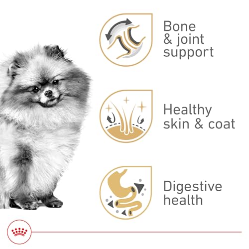 La Mejor Lista de Royal canin para comprar hoy. 23 Imagen adicional