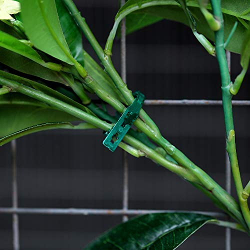 Cinta ajustable para plantas 200 piezas WILLBOND miniatura 5