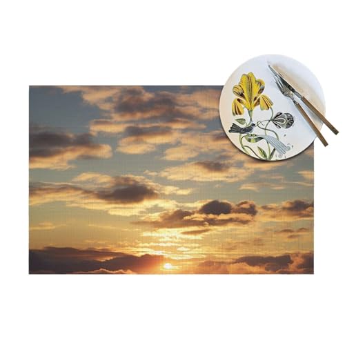 Set de table antidérapant PVC napperons lavables 45,7 cm - 8