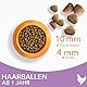IAMS Anti-Haarballen Katzenfutter trocken mit Huhn - Trockenfutter für Katzen ab 1 Jahr, 3 kg