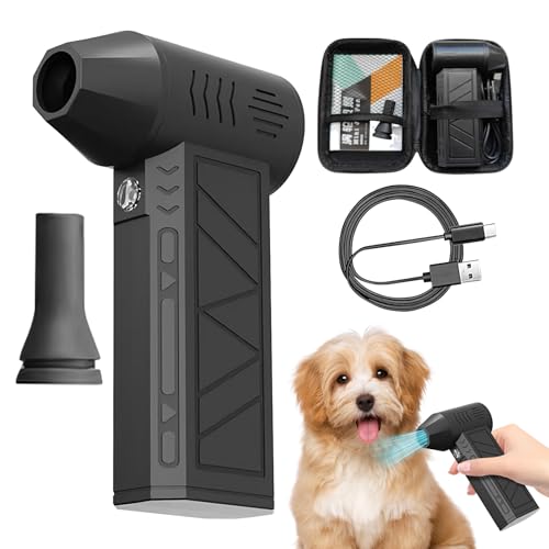 Blower de aire eléctrico inalámbrico: bláster de polvo portátil de alta potencia de 600W, Air ajustable de 3 engrasamiento | Máquina de...