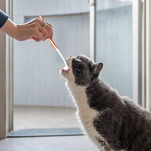 Kit de escovação de dentes para cães - Pasta de dentes para gatos e escova de dedo,Pasta de dentes e
