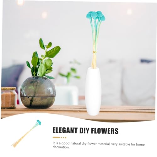 10 piezas de Craspedia seca para decoración natural miniatura 3