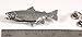 Brook Trout, Brookie, Fish Pin, Pewter, F006A, 2