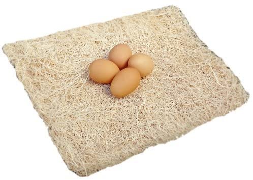 DUNCAN'S FAMILY FARM STORE Duncans Poultry 13x13 Excelsior Nest Pads - 2 Pack