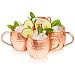 Kitchen Science Moscow Mule Hammered Copper 16 Ounce Drinking Mug, Set of 4 (4)