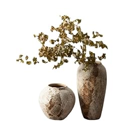 Pottery Pot Wabi-sabi...