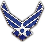 US Air Force Large Lapel Pin