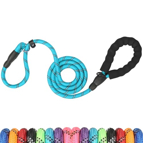 UsunyVora Slip Lead 5 FT for Medium and Large Dogs,Puppy Dog Training Leash Heavy Duty,No Pull Reflective Nylon Dog Leash,Rope Training Leash for Dogs That Pull,Sky Blue