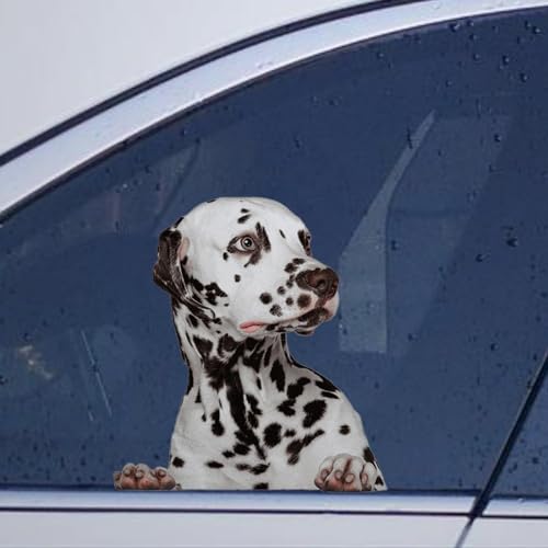 Image of ArogGeld Dalmatian Dog Stickers for Car, Window, Laptop - Vinyl Die Cut Decals, Black, Animal Print, Matte, Waterproof, Outdoor Use