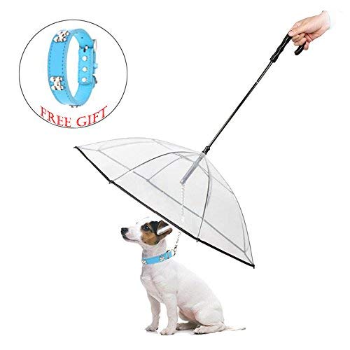 10 Best Umbrella For Dog Walking in 2023 (July update)